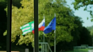 Rüzgar ağaçların infront esiyor iken sallıyor Bayrak