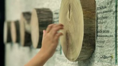 bir ağaç gövdesi bir bölümünü dokunmadan çocuk