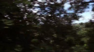 atış--dan hareket eden bir trenin peyzaj