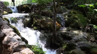 dere taşları Woods dışarı vurdu