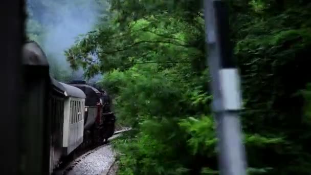 Пейзаж с движущегося поезда — стоковое видео