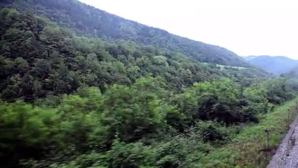 Paesaggio dal treno in movimento — Video Stock