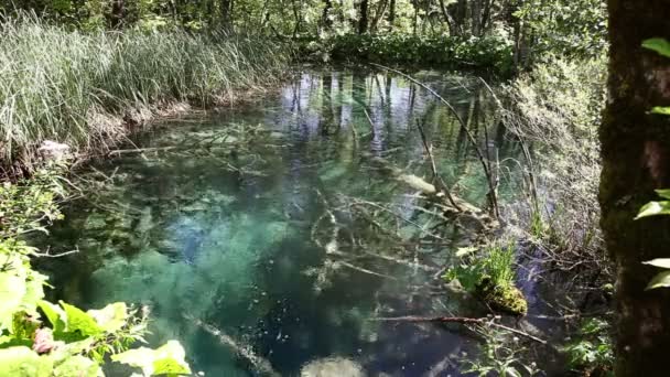 Záběr malý rybník v parku Plitvická — Stock video