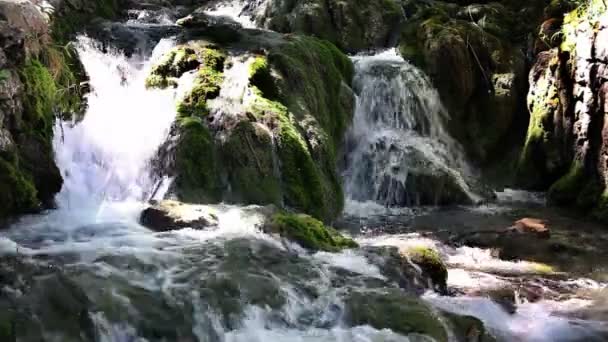 Красиво краєвид в національному парку Плітвіцкі — стокове відео
