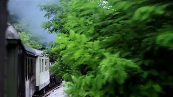 Снимок пейзажа с движущегося поезда — стоковое видео