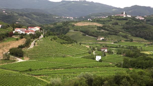 Panoramic shot of willage near Gorizia with a lot of vineyards — Stock Video