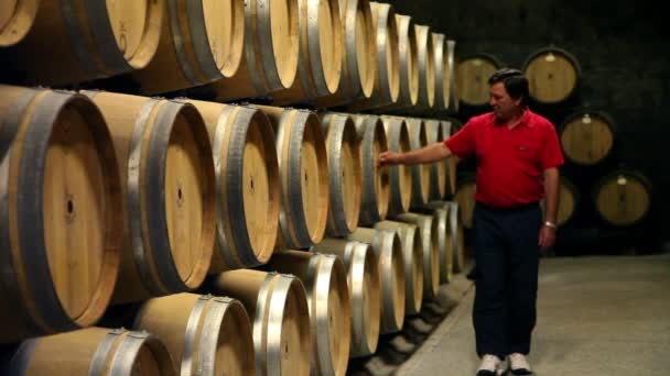 Shot of the man checking the barrels in the wine cellar — Stock Video