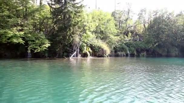 Skott av ett litet vattenfall i nationalparken plitvice-Kroatien — Stockvideo
