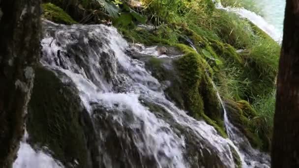 Cascada pequeña — Vídeos de Stock