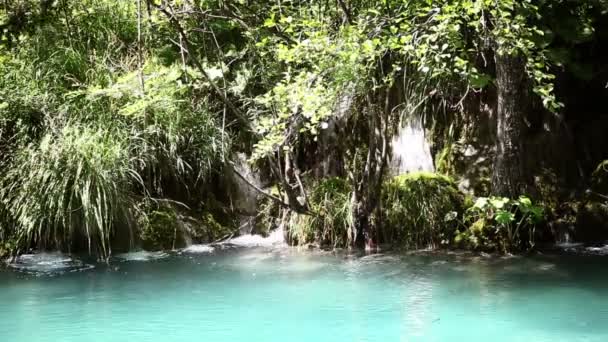 Wunderschöne Landschaft im Plitvicer Nationalpark — Stockvideo