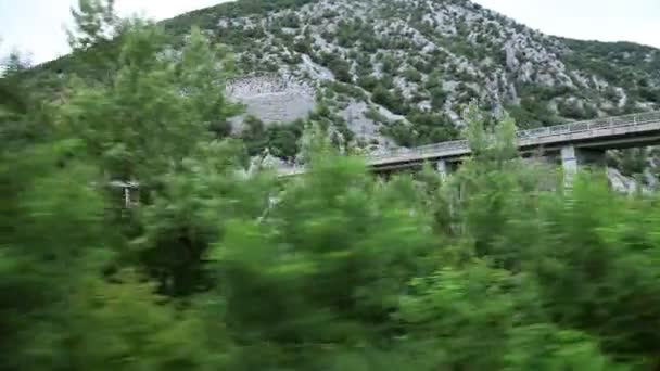 Schot van het landschap van de rijdende trein — Stockvideo