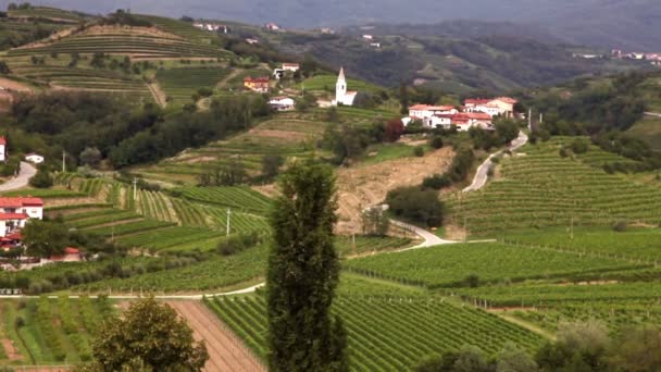 Panoramic shot of willage near Gorizia with a lot of vineyards — Stock Video