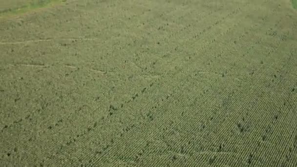 Panorama du toboggan de l'hélicoptère représentant les collines et la vallée au milieu qui est peuplé de certaines maisons — Video