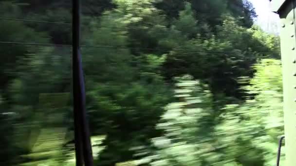 Fotografía del hermoso paisaje del tren en movimiento — Vídeo de stock