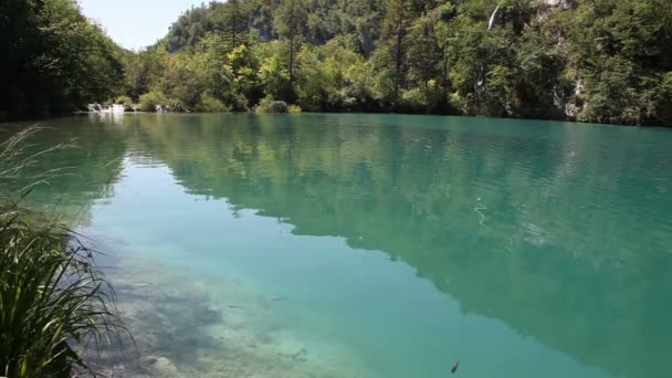 Beau paysage dans le parc national de Plitvice — Video