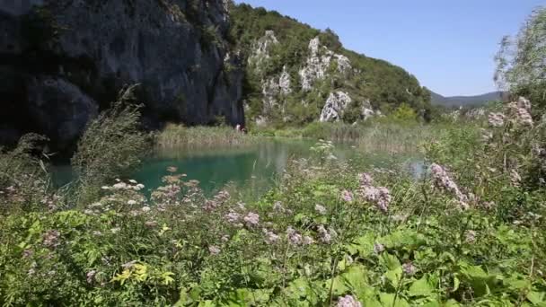 Piękny krajobraz w Parku Narodowym Jezior Plitwickich — Wideo stockowe
