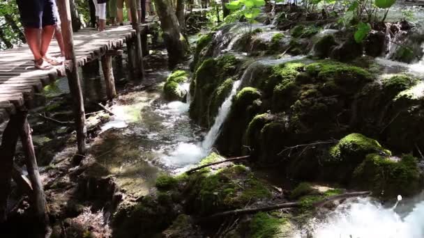 Foto de los turistas caminando en el camino a través de los lagos Parque Nacional de Plitvice — Vídeos de Stock