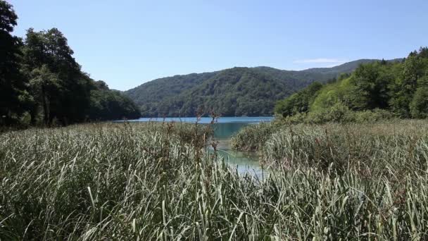 Hermoso paisaje en el parque nacional de Plitvice — Vídeo de stock
