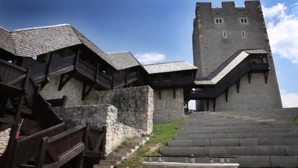Старий замок поблизу Celje — стокове відео