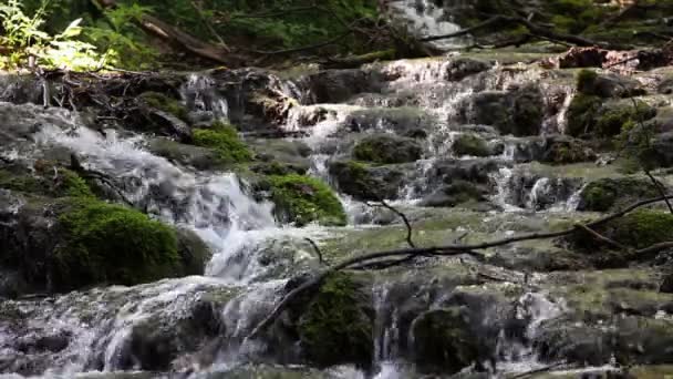 Gedetailleerde schot stroomversnellingen in het bos — Stockvideo