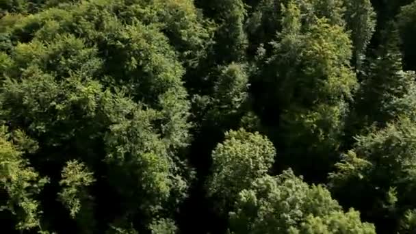 Panorama deslize tiro de helicóptero representando paisagem cheia de colinas que são cobertas com florestas verdes — Vídeo de Stock