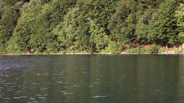 Shot of the touristic boat on the lake — Stock Video