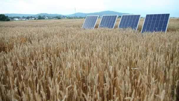 Paneles solares — Vídeo de stock