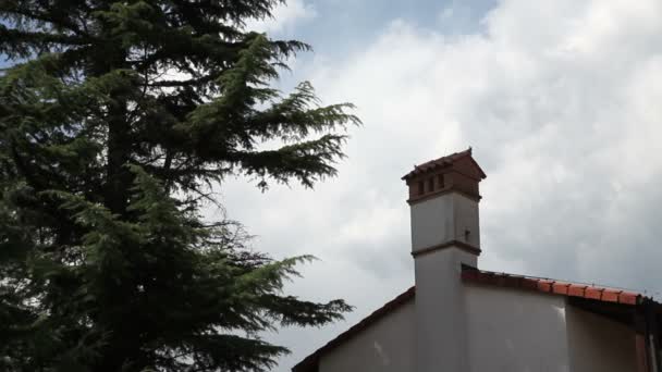 Aufnahme des in der Nähe des Hauses stehenden Nadelbaums — Stockvideo