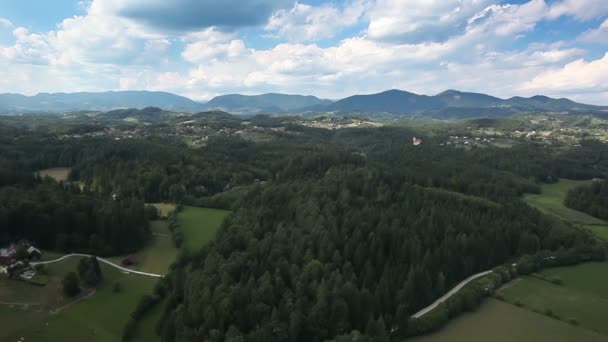 Belle forêt avec un paysage nuageux incroyable 