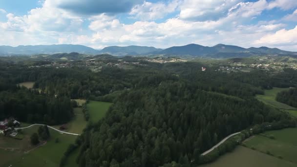 Beautiful forest with amazing cloudscape — Stock Video