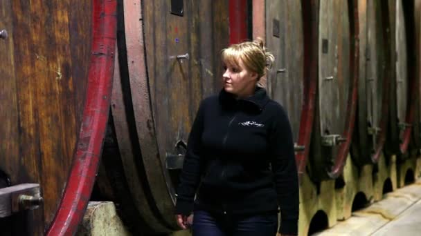 Fotografía de una mujer revisando las barricas de la bodega — Vídeos de Stock