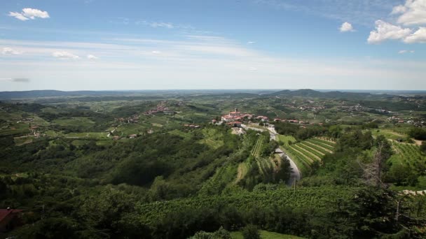 Tiro panorâmico de vontade perto de Gorizia com um monte de vinhas — Vídeo de Stock