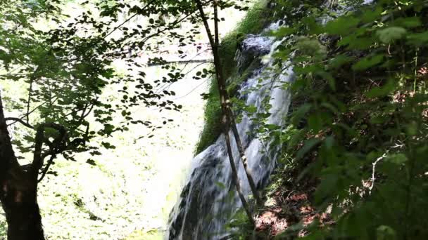 Nahaufnahme eines kleinen Wasserfalls — Stockvideo
