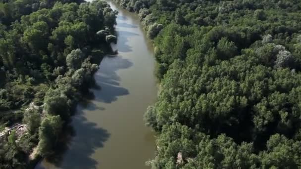 Ποτάμι κοντά στο δάσος — Αρχείο Βίντεο