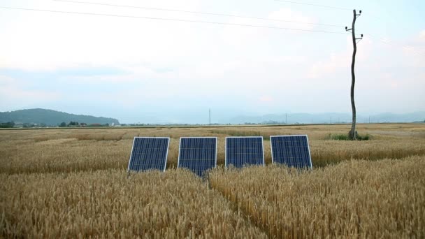 Zonnepanelen — Stockvideo