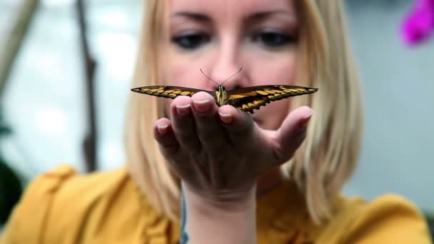 Tiro de mujer joven con una mariposa en la mano — Vídeo de stock