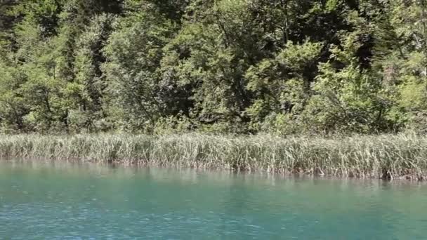 Shot of the unrecognisable couple in rowing the boat. — Stock Video