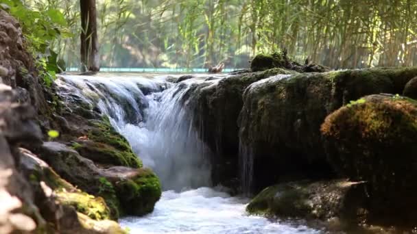 Национальный парк Плитвицкая Хорватия — стоковое видео