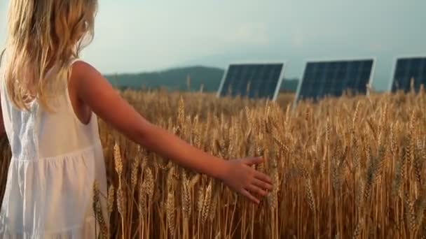 Bambina su un campo di grano — Video Stock