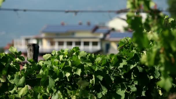 Panneaux solaires à l'arrière — Video