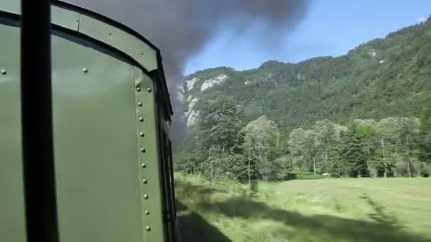 Schot van het landschap van de rijdende trein — Stockvideo