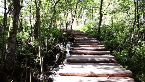 Sendero de madera en el parque Plitvice — Vídeos de Stock