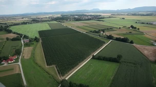 Panorama slide tiro de helicóptero representando belo vale com campos, prados e algumas casas — Vídeo de Stock