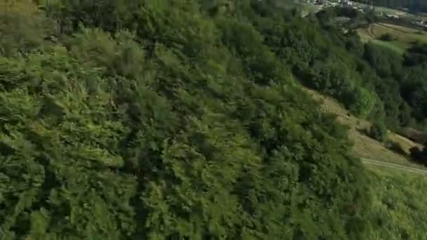 Vue panoramique depuis un hélicoptère représentant des collines couvertes de forêts vertes 