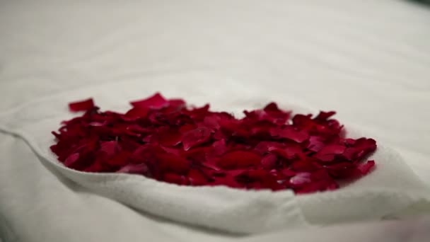 Bloemblaadjes van rozen — Stockvideo