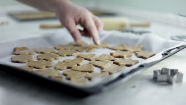 Zblízka střílel z rukou člověka, které jsou na těsto pro soubory cookie — Stock video