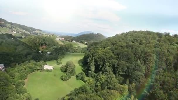 Pradera y bosque en la colina — Vídeo de stock