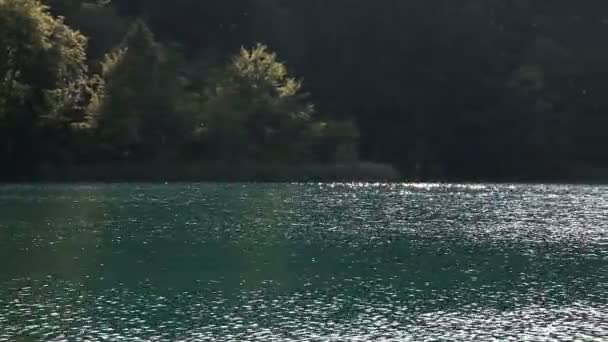 Tournage de paysages magnifiques dans le parc national de Plitvice, réalisé à partir du bateau — Video