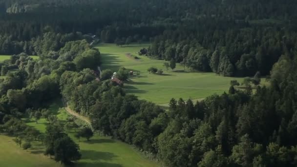 Tiro de un bosque — Vídeo de stock