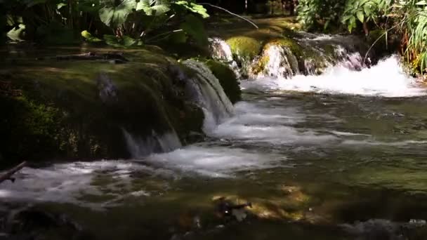 Wasserfall im Wald — Stockvideo